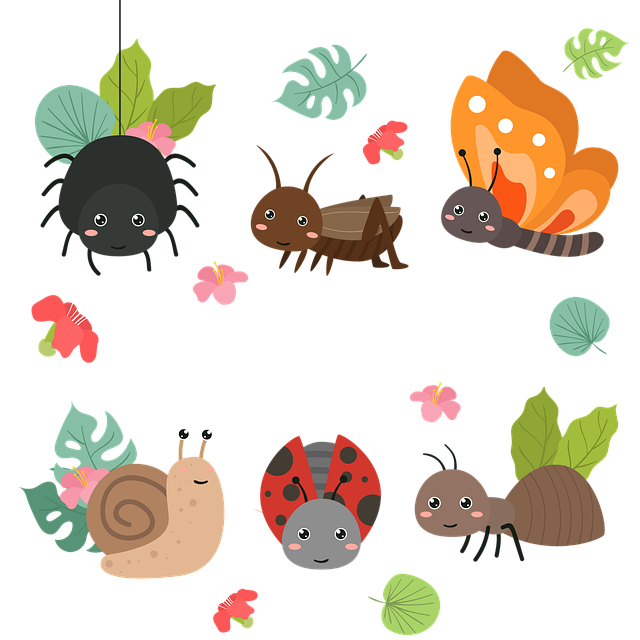 Insecte